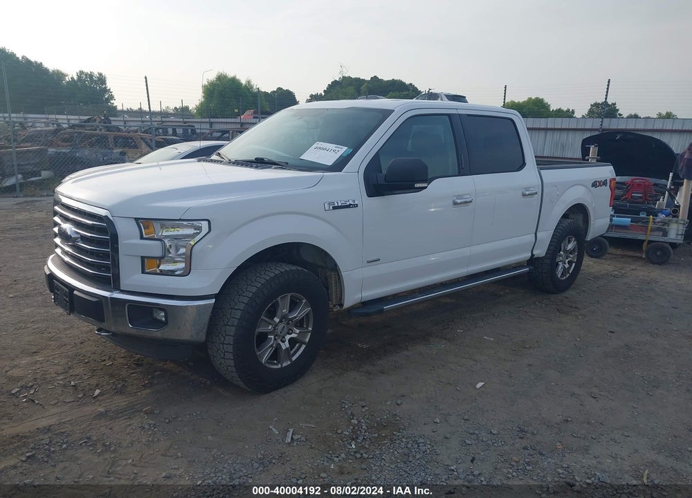 2015 FORD F-150 XLT VIN: 1FTEW1EG5FFA74889