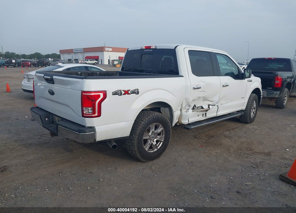 2015 FORD F-150 XLT VIN: 1FTEW1EG5FFA74889