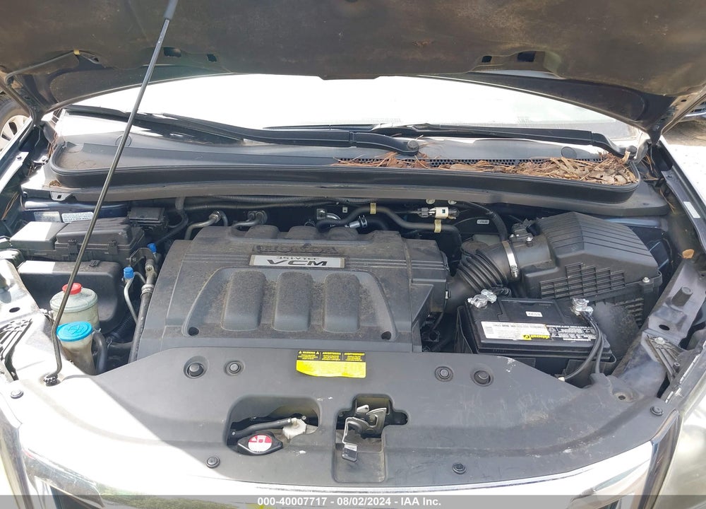 2009 HONDA ODYSSEY EX-L VIN: 5FNRL38659B008859