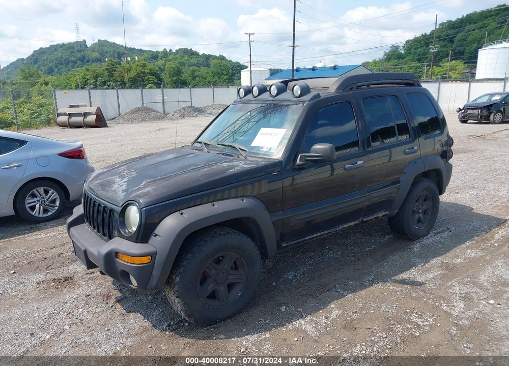 2003 JEEP LIBERTY RENEGADE VIN: 1J4GL38K03W631033