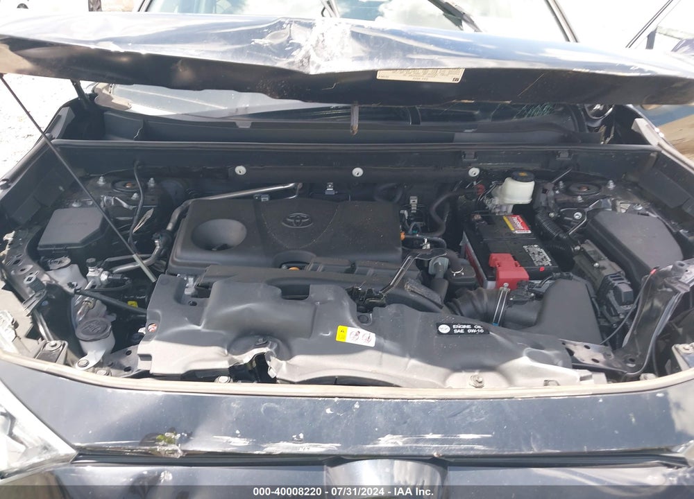 2019 TOYOTA RAV4 XLE VIN: 2T3W1RFV6KW057087