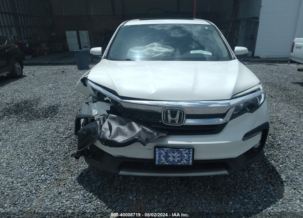 2019 HONDA PILOT EX-L VIN: 5FNYF6H59KB045446