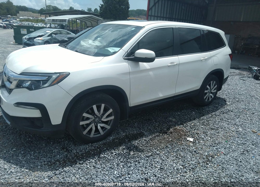 2019 HONDA PILOT EX-L VIN: 5FNYF6H59KB045446