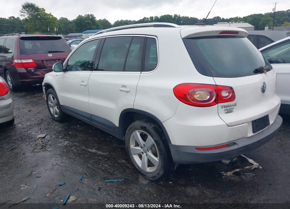 2010 VOLKSWAGEN TIGUAN WOLFSBURG EDITION VIN: WVGAV7AX8AW523920