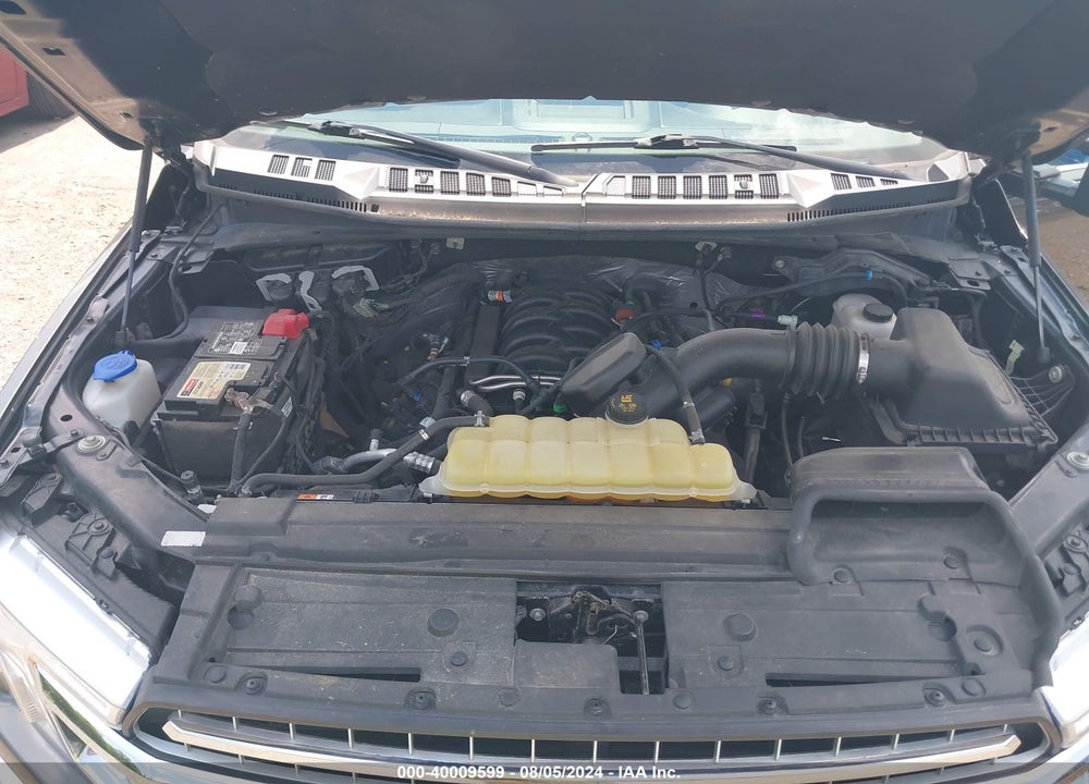 2019 FORD F-150 XLT VIN: 1FTFW1E52KKC80594