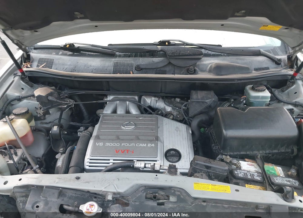 2001 LEXUS RX 300 VIN: JTJHF10U710185320
