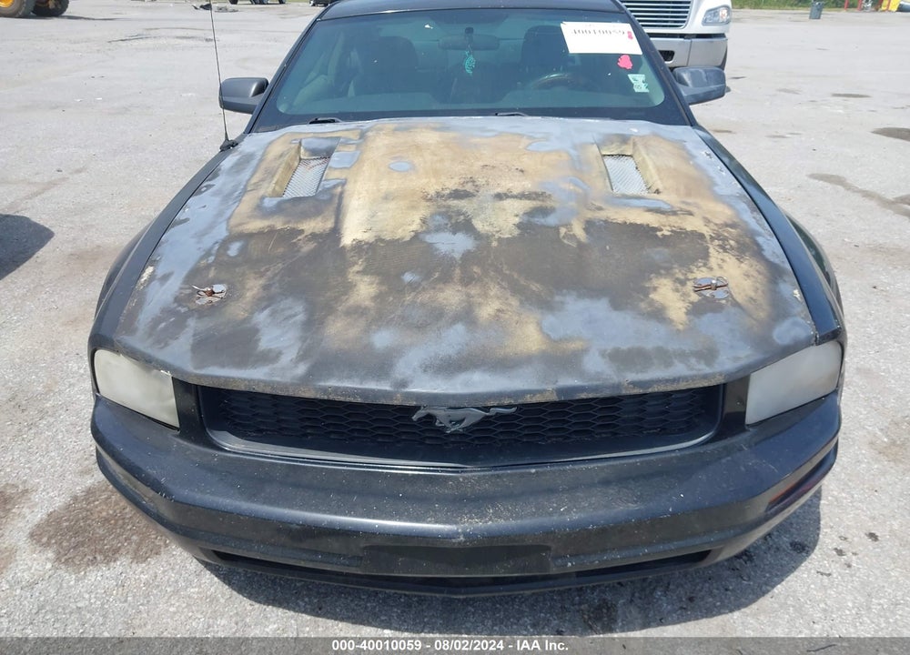 2007 FORD MUSTANG V6 DELUXE/V6 PREMIUM VIN: 1ZVFT80N675351971