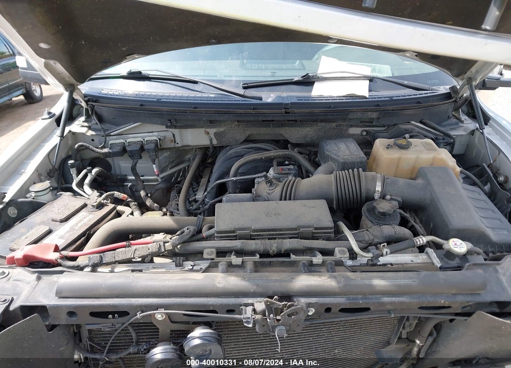 2010 FORD F-150 STX/XL/XLT VIN: 1FTEX1E82AFB84295
