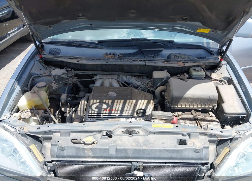 2001 LEXUS RX 300 VIN: JTJHF10U010183067