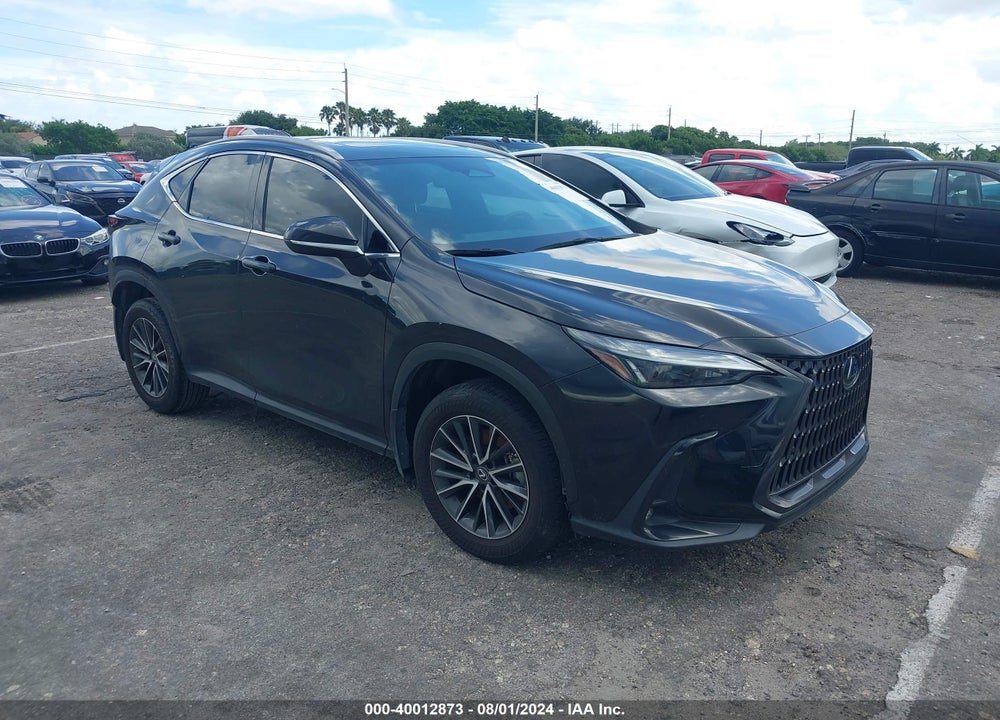 2022 LEXUS NX 250 PREMIUM VIN: 2T2GDCAZ9NC002095