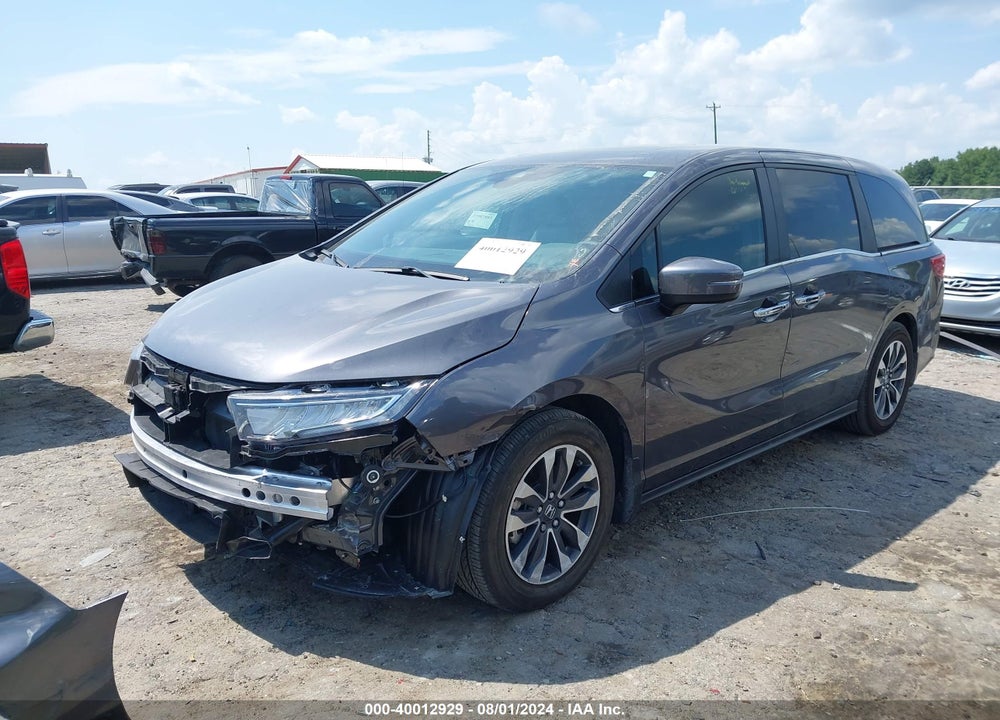 2024 HONDA ODYSSEY EX-L VIN: 5FNRL6H66RB002795