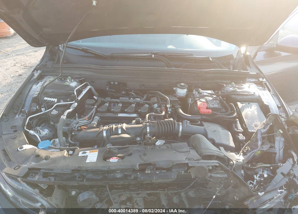 2019 HONDA ACCORD EX-L VIN: 1HGCV1F55KA068123