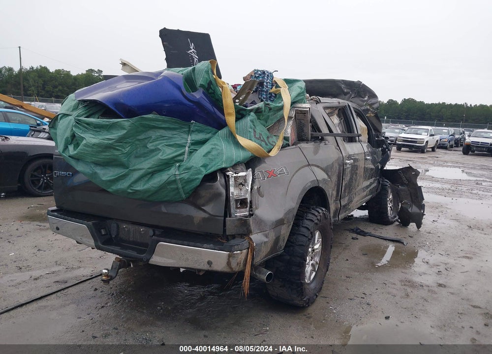 2016 FORD F150 VIN: 1FTEW1EG9GKF77771