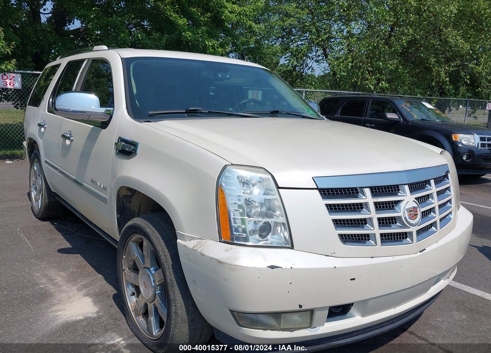 2010 CADILLAC ESCALADE HYBRID STANDARD VIN: 1GYUCEEJXAR245872