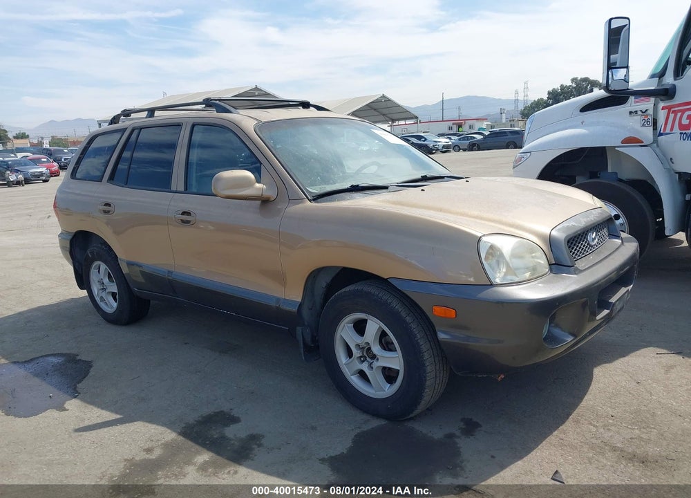2003 HYUNDAI SANTA FE GLS/LX VIN: KM8SC13D63U366350