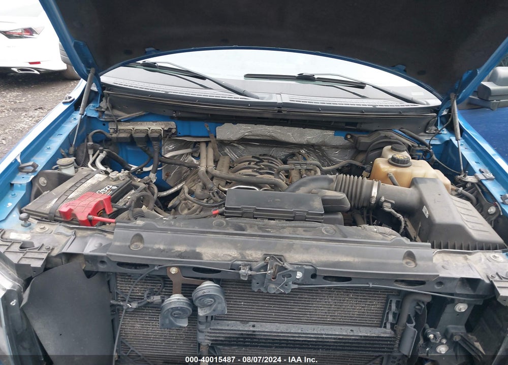 2013 FORD F-150 STX VIN: 1FTFX1EF7DFA08981