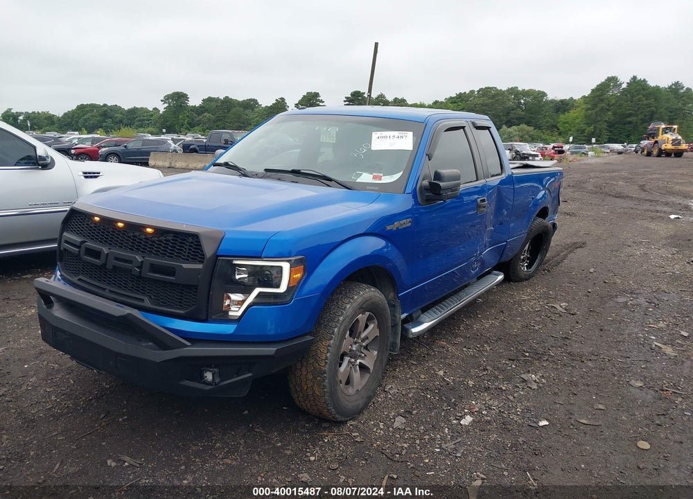 2013 FORD F-150 STX VIN: 1FTFX1EF7DFA08981