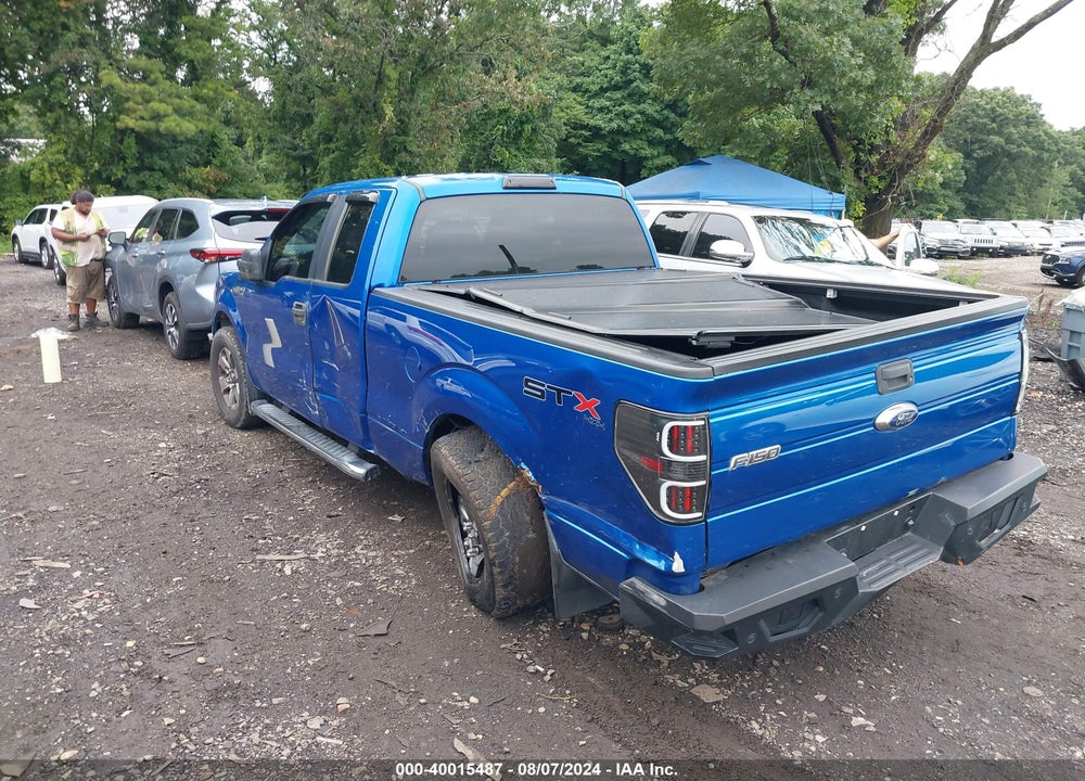 2013 FORD F-150 STX VIN: 1FTFX1EF7DFA08981