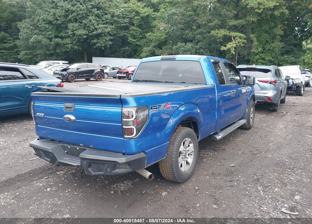 2013 FORD F-150 STX VIN: 1FTFX1EF7DFA08981