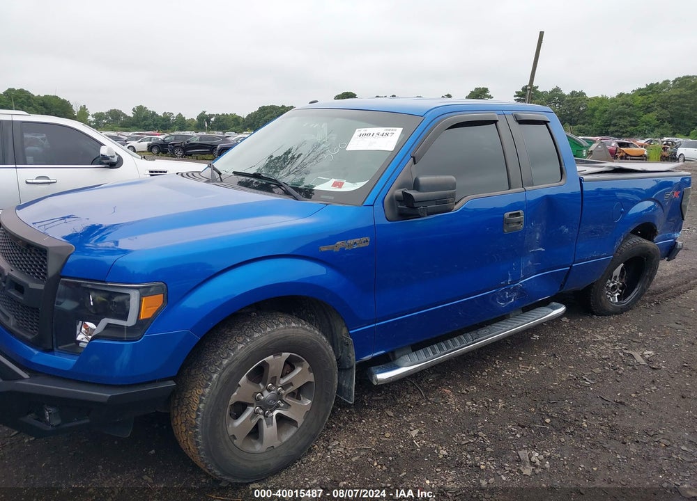 2013 FORD F-150 STX VIN: 1FTFX1EF7DFA08981