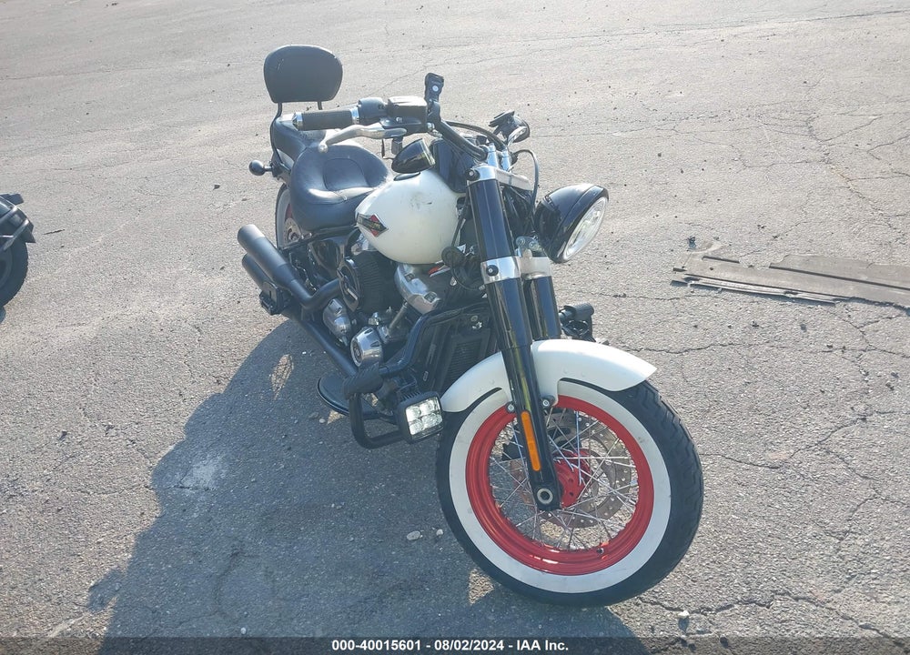 2019 HARLEY-DAVIDSON FLSL VIN: 1HD1YDJ28KB026212