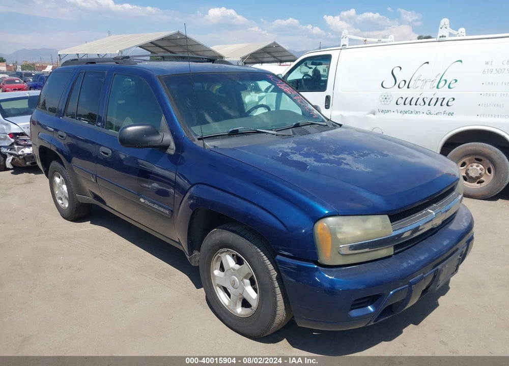2002 CHEVROLET TRAILBLAZER LS VIN: 1GNDS13S322392579
