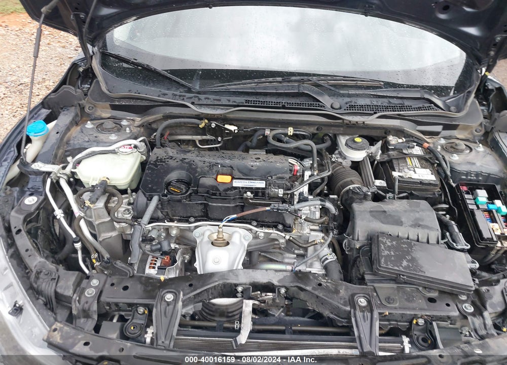 2019 HONDA CIVIC LX VIN: 2HGFC2F69KH504975