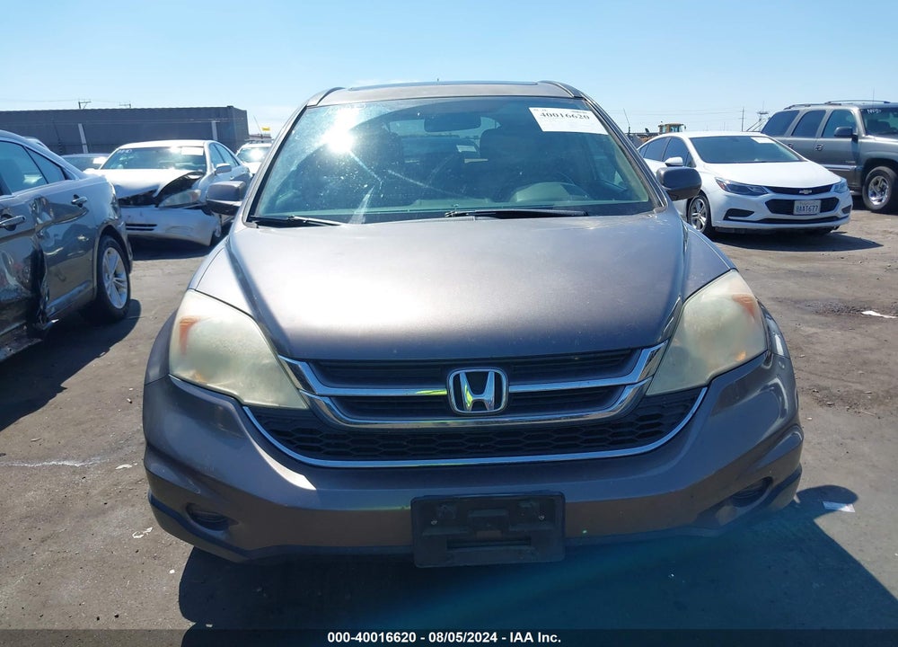 2010 HONDA CR-V EX-L VIN: 5J6RE3H78AL036282