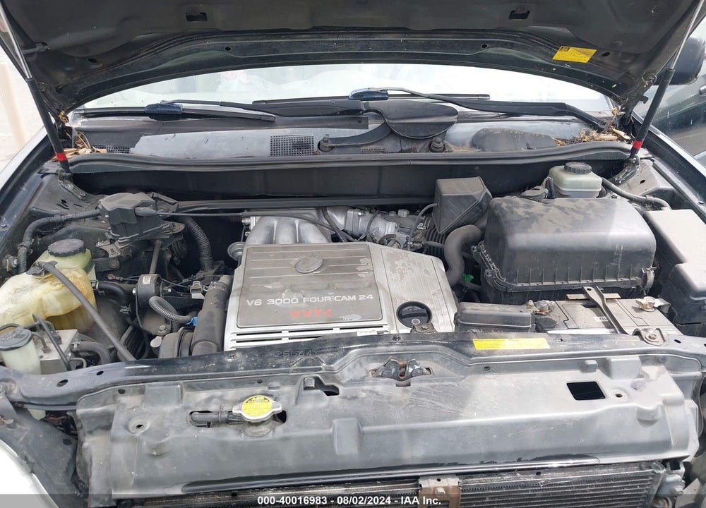 2001 LEXUS RX 300 VIN: JTJGF10UX10102748