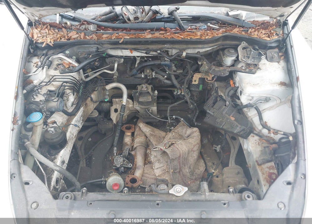 2006 HONDA ACCORD 3.0 EX VIN: 1HGCM66506A055897