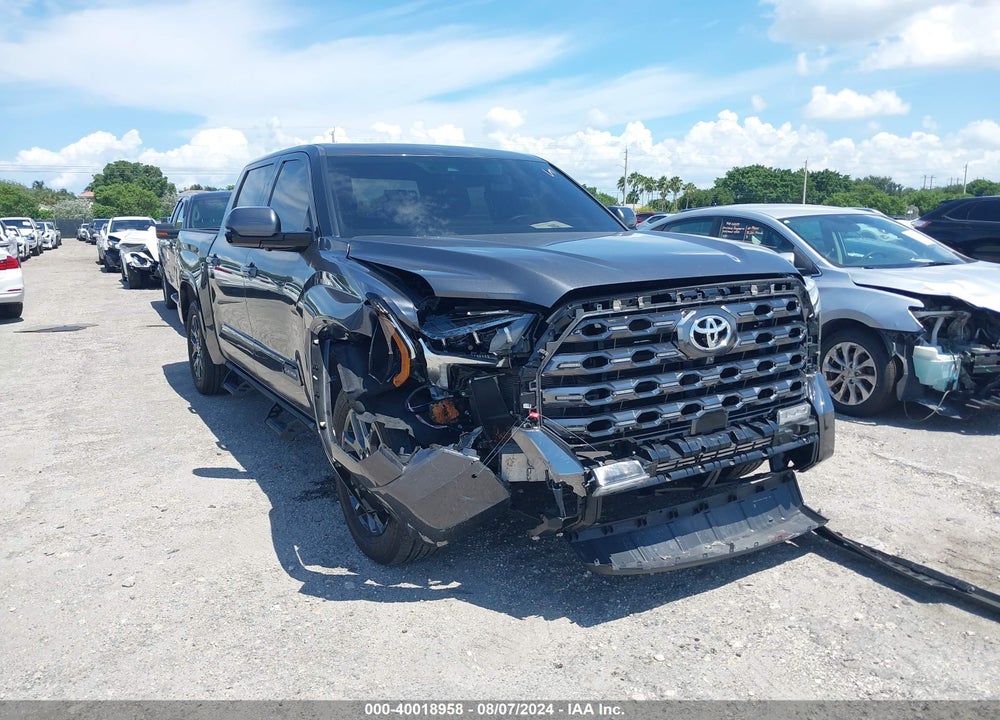 2023 TOYOTA TUNDRA PLATINUM VIN: 5TFNA5AB2PX023880