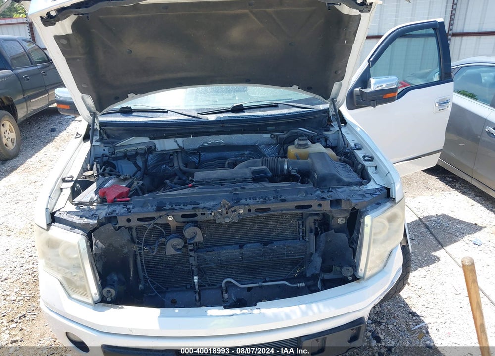 2013 FORD F-150 PLATINUM VIN: 1FTFW1EF8DFD26174
