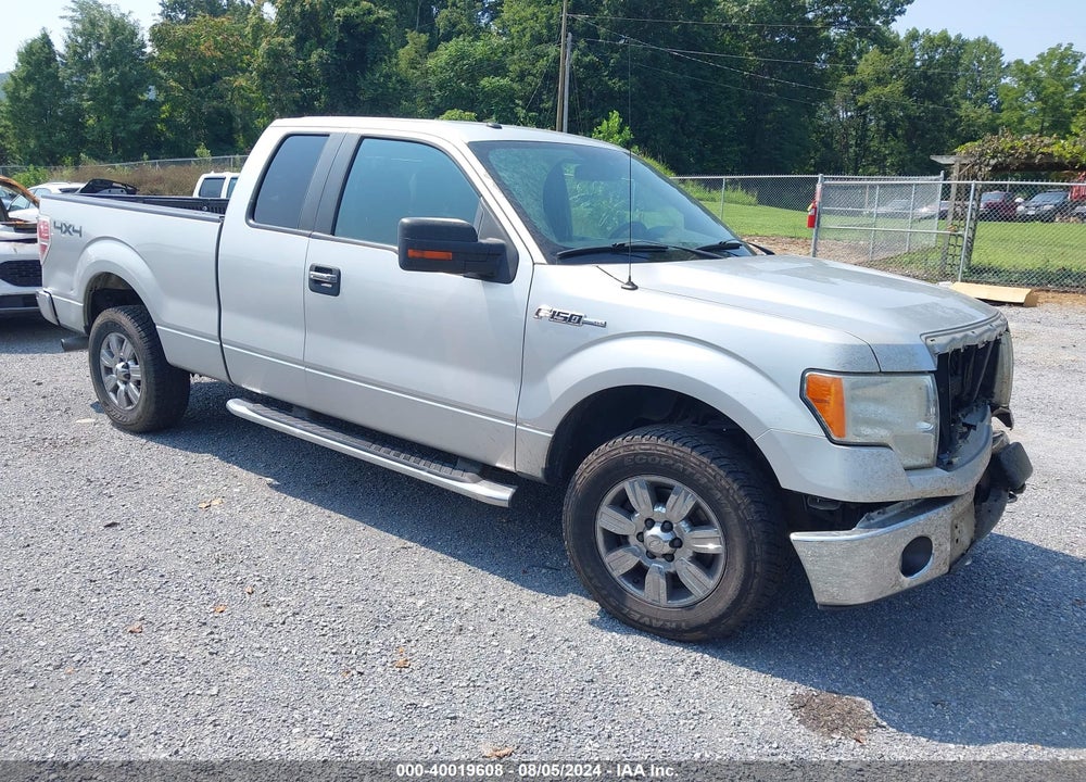 2011 FORD F-150 XLT VIN: 1FTFX1EF4BFA76670