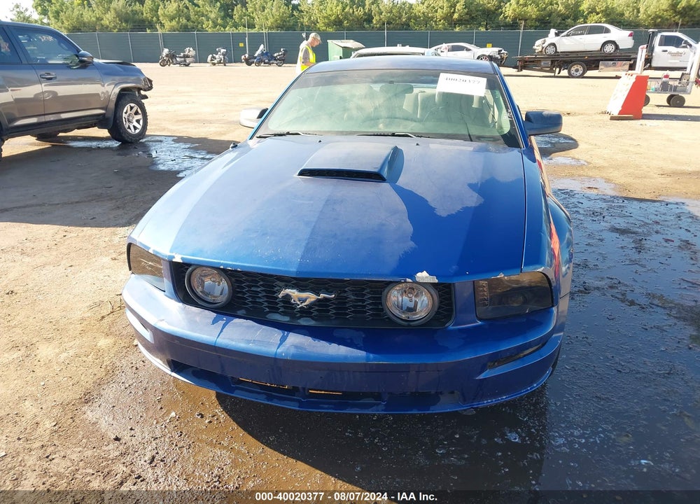 2007 FORD MUSTANG GT DELUXE/GT PREMIUM VIN: 1ZVFT82H775246055