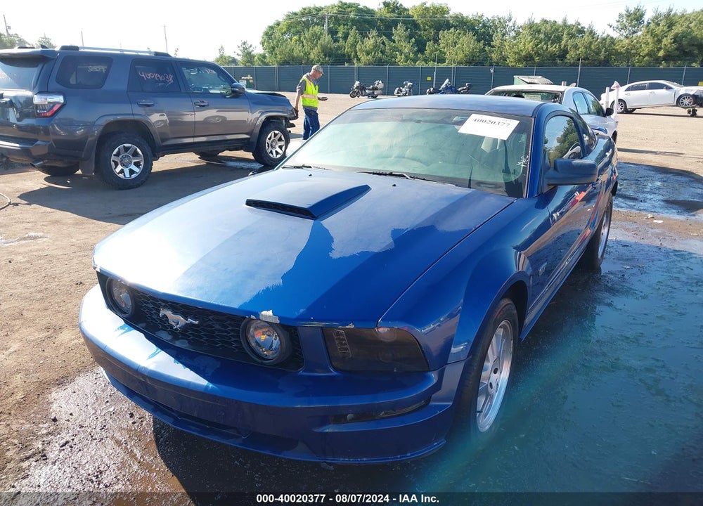2007 FORD MUSTANG GT DELUXE/GT PREMIUM VIN: 1ZVFT82H775246055