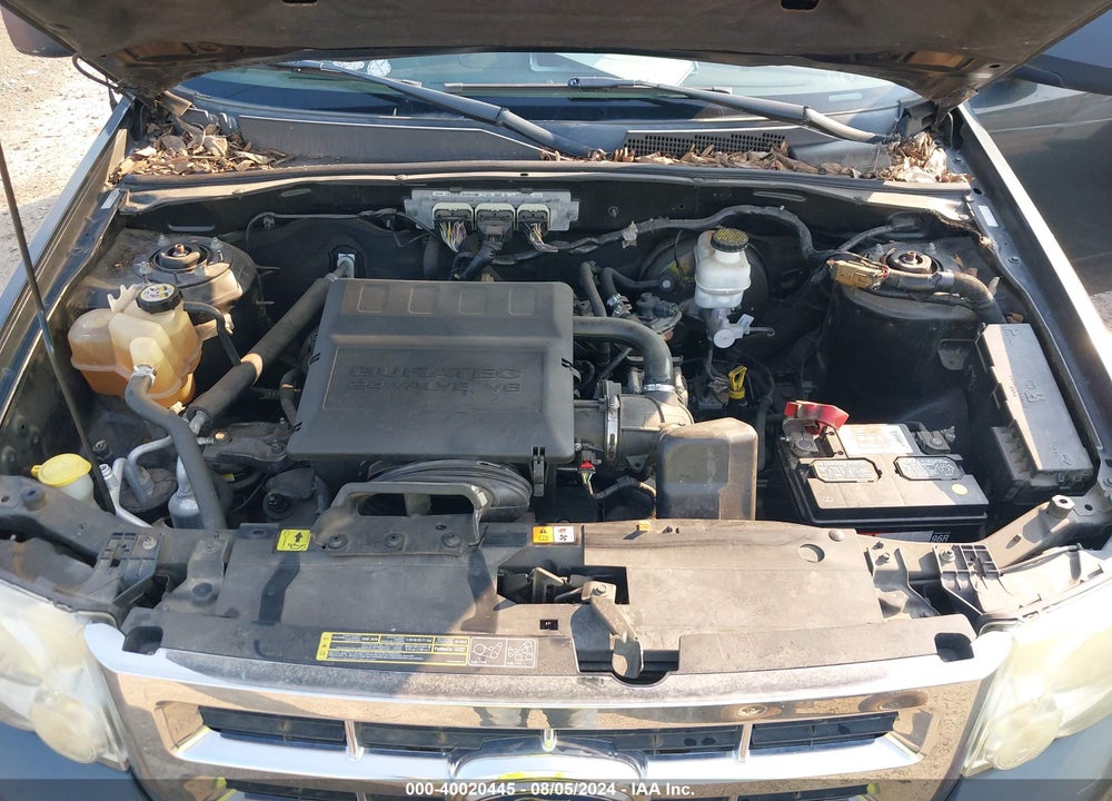 2009 FORD ESCAPE XLT VIN: 1FMCU03G39KA64962