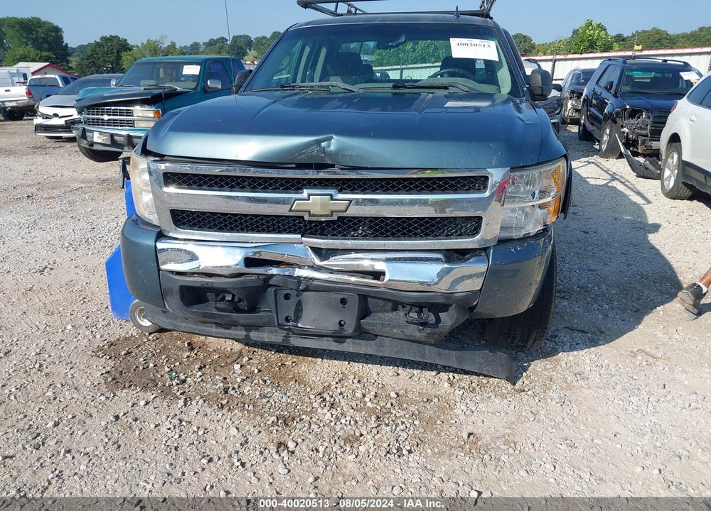 2009 CHEVROLET SILVERADO 1500 WORK TRUCK VIN: 1GCEK19J09Z172989