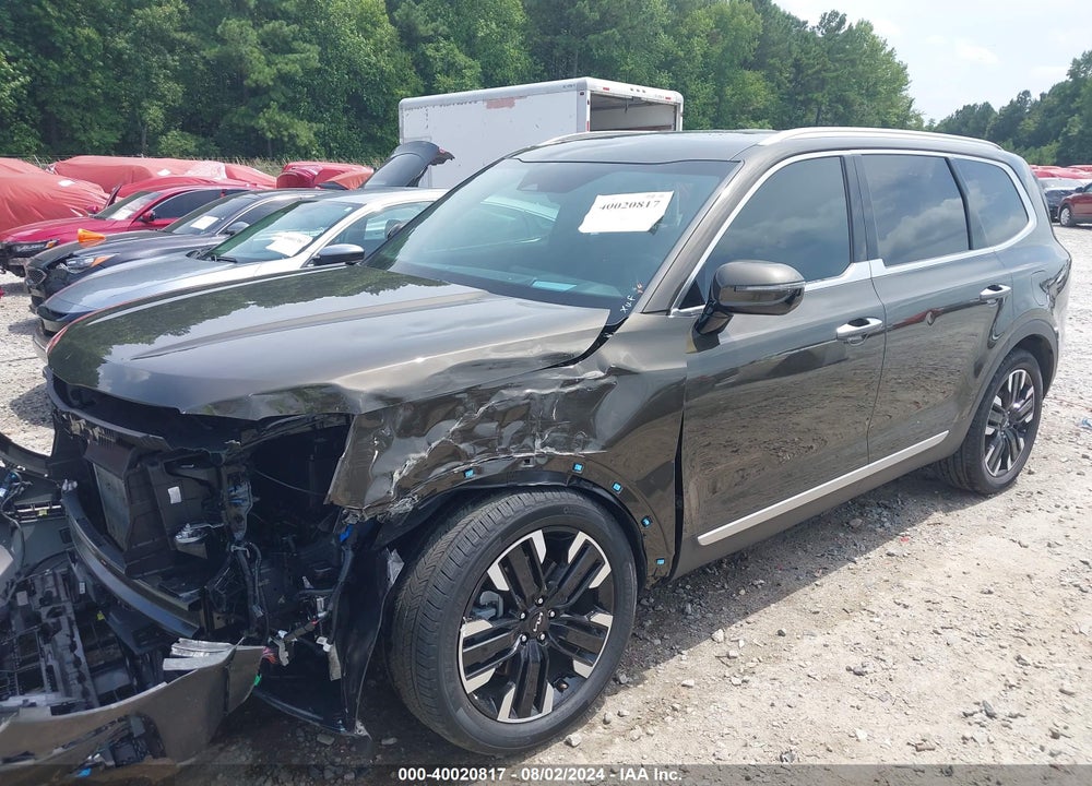 2024 KIA TELLURIDE SX PRESTIGE VIN: 5XYP5DGC2RG470013