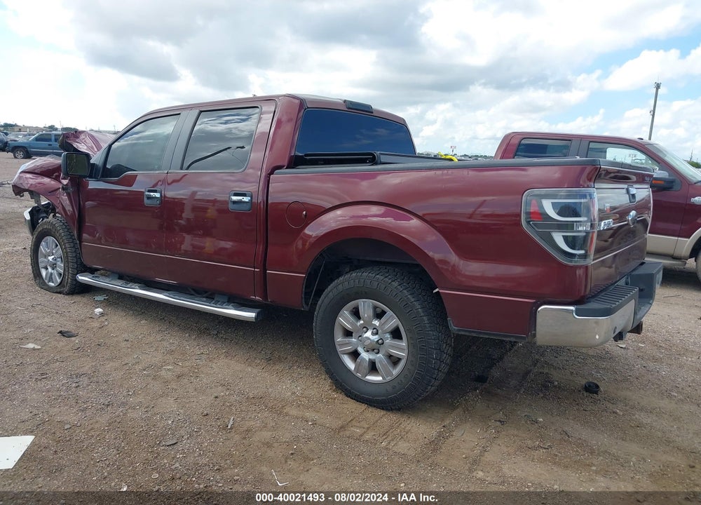 2010 FORD F-150 FX2 SPORT/XL/XLT VIN: 1FTEW1C87AFC65511