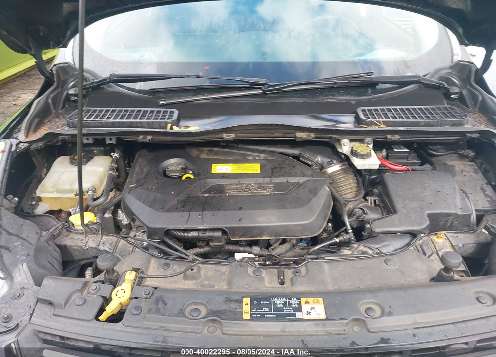 2014 FORD ESCAPE SE VIN: 1FMCU0GX5EUB92516