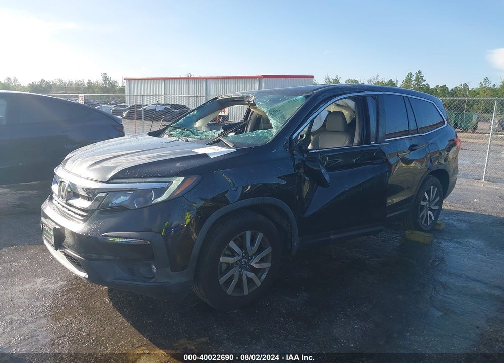2019 HONDA PILOT EX-L VIN: 5FNYF5H52KB045931