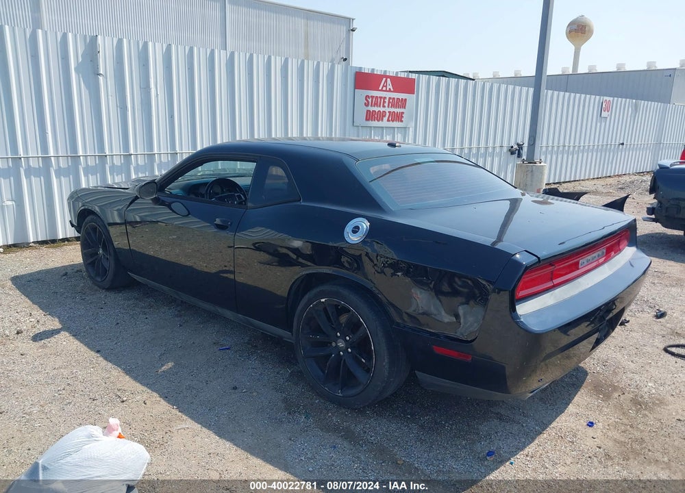 2014 DODGE CHALLENGER SXT VIN: 2C3CDYAGXEH231913