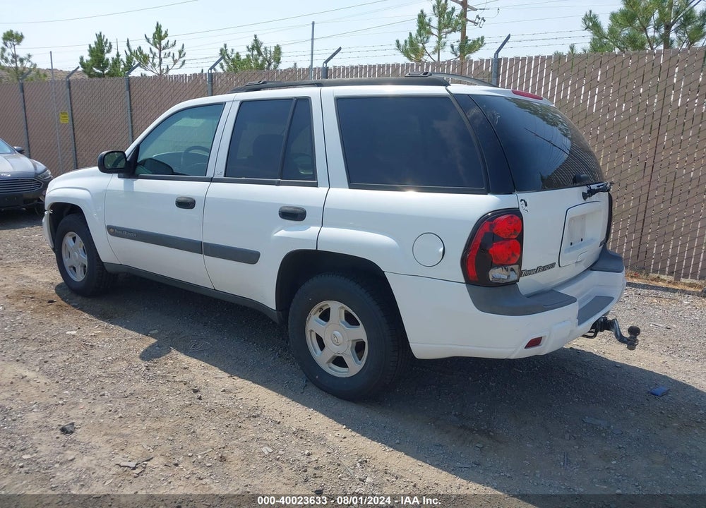 2004 CHEVROLET TRAILBLAZER LS VIN: 1GNDT13S042125979