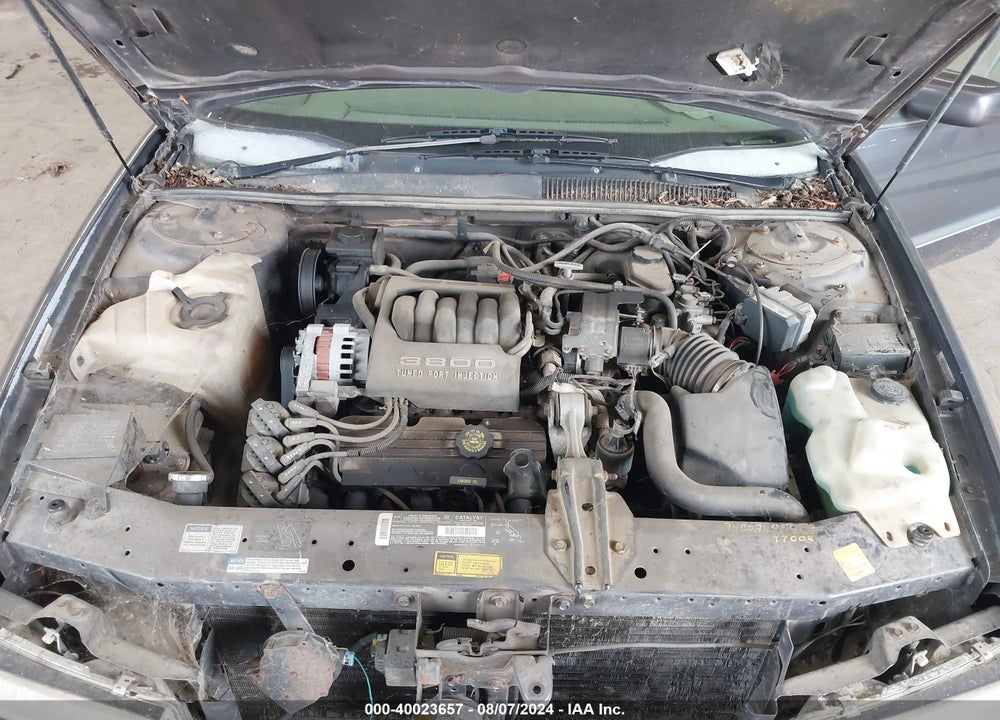 1994 BUICK REGAL CUSTOM VIN: 2G4WB55L4R1439431