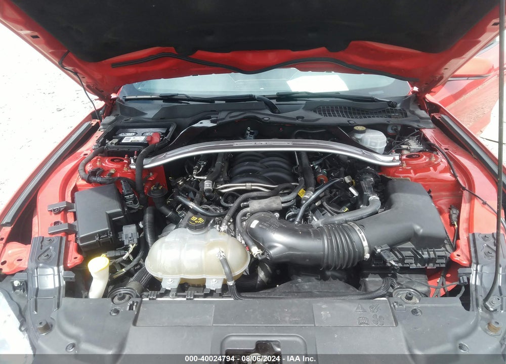 2019 FORD MUSTANG GT PREMIUM VIN: 1FA6P8CF3K5125476