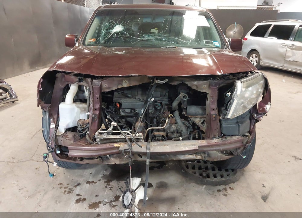2010 HONDA PILOT EX-L VIN: 5FNYF4H57AB026459
