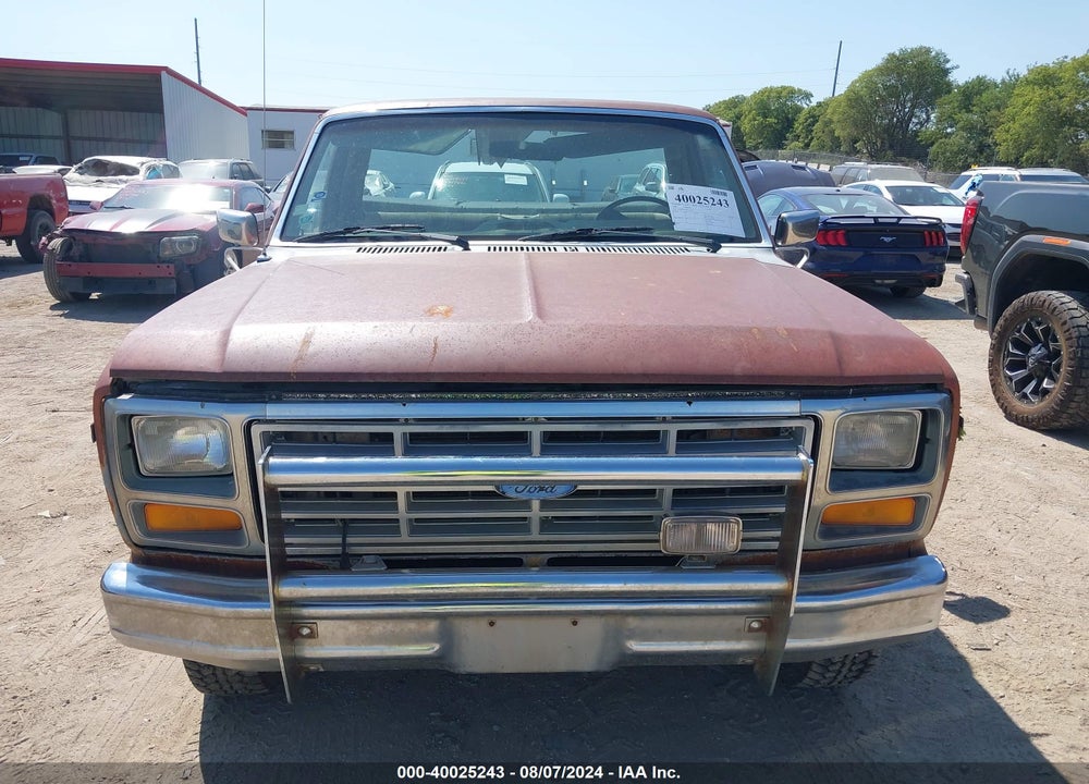 1986 FORD F150 VIN: 1FTEF14N6GPA16155