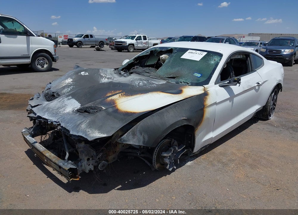 2019 FORD MUSTANG VIN: 1FA6P8TH1K5172068