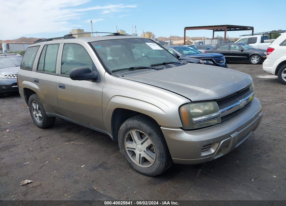 2002 CHEVROLET TRAILBLAZER LS VIN: 1GNDS13S222321986