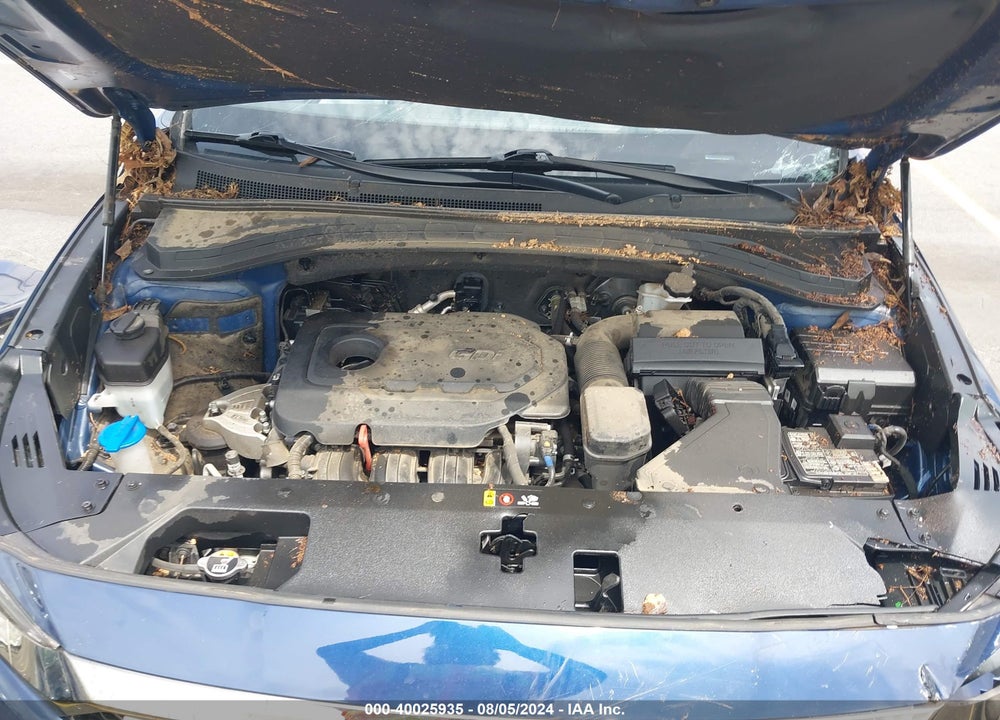 2020 HYUNDAI SANTA FE LIMITED VIN: 5NMS53AD0LH287681
